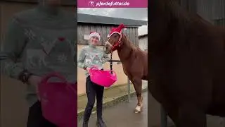 Auf der Suche nach einem Geschenk? Wie w&auml;re es mit einem Geschenkgutschein von pferdefutter.de? 🎁