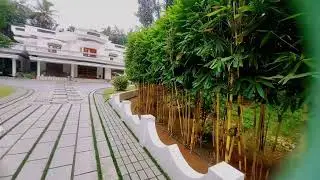 new house Golden bamboo border🧐2 designing👈flower world garden 2023 🕺👌
