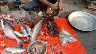 Walking fish cutting skills bd 