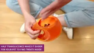 All for paws - Klein bottle dispenser