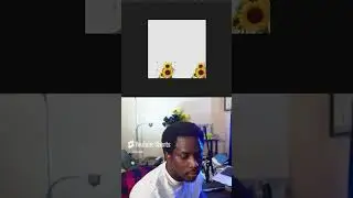 How to make Album cover Art? Flowers, #tylerthecreator #remake