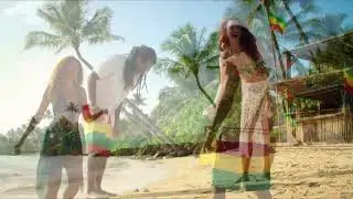 Drug Song Janko Nilovic Acoustic Reggae 2025 Chill Guitar Harmony for Deep Concentration