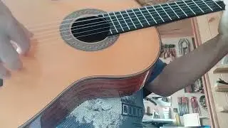 Guitarra RR Especial Abeto-Pauferro 2023