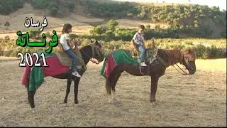 شوف الفرسان الصغار كيف يتعاملون مع الحصان