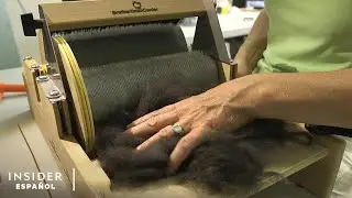 Mujer hace abrigos con pelo de perro | Insider Espa&ntilde;ol
