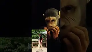 Haye Samosaaaa... 😋 | Spicy Fun Moments!