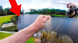 Catching GIANTS while FLY FISHING for bass!!! (TOPWATER fly fishing)