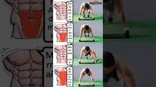 #biseps #triseps #shoulder #upperabs #lowerabs #chestworkout #thighs #abdomen #sixpackabs #pack ...