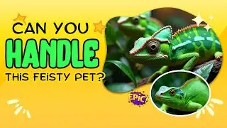 Your Knight Anole Pet: Taming the Tiny Green Dragon!