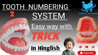  Tooth Numbering System part 2 / Universal tooth Number System/ FDI / Victor tooth numbering system