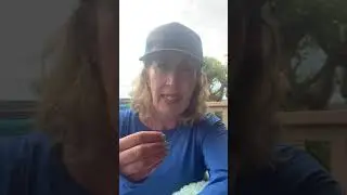 inner wellness, inner eco YOU GUT THIS