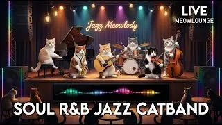 Calm Jazz Soul R&B Instruments | Relaxing Music for Focus & Night Listening - Jazz Meowlody