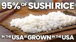Growing America's Sushi Rice in California