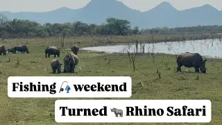 Fishing Weekend turned into a Rhino Safari  - Zimbabwe Hidden Gems 