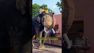 Popular star Bhima, the 24-year-old Bheema elephant at Mysuru Dasara 2024
