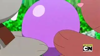 Pokemon XYZ Episode 21 Dub Bunnelby X Buneary Moments