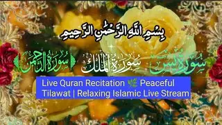 Live Quran Recitation 🌿 Peaceful Tilawat | Relaxing Islamic Live Stream | #quran #Tilawat