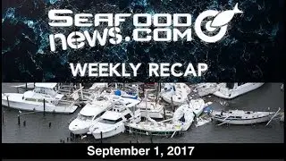 Hurricane Harvey; Canned Tuna Lawsuit; Destination Update; Salmon Emergency; NFI Loses Lawsuit