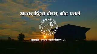 Antarastriya Boer Goat Farm