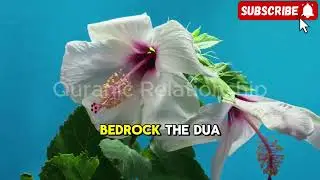 How to Build a Marriage That Reaches Jannah | Quran & Sunnah Guidance