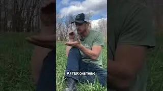 Integrity vs Profit: The Truth About Modern Farms