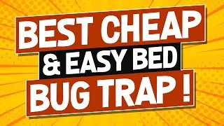 **Must Watch ** CHEAP & AFFECTION BED BUG MONITOR TRAP || Tulsa Bed Bug Specialist
