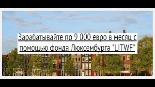 Негативный отзыв о фонде Люксембурга &laquo;LITWF&raquo;