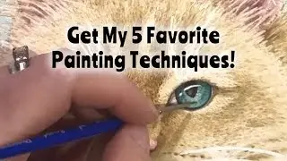 How I Painted a Cat Using My 5 Favorite Watercolor Techniques