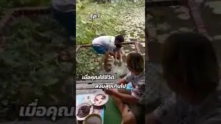 #funny #trendmix