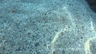Cavoli Beach on Elba has the clearest waters you will ever find