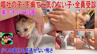 嘔吐の子・下痢で元気のない子・全員受診