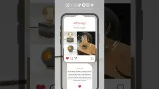 Wboxgo: Womo Design