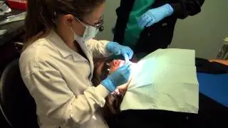 Free Dental Day In St  Charles
