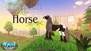 Фризская порода лошадей | HorseLife |