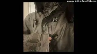 protect nettspend osamason type beat - swarm