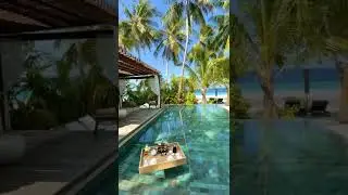 Infinity Pool | Luxury Hotel | Luxury Villa | Luxury Pool House