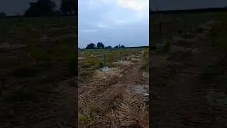 hero solar, renewable energy, solar power, chennampalli, owk nandyal, solar installation, clean eneg