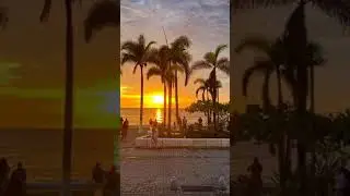 This could be your next beach vacation to Puerto Vallarta🌴😎