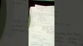 student Life struggle life