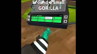 Small monkey sighting