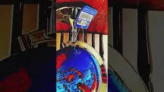 Transition with my mini world globe🦋💙