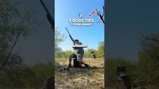 3 Dove Tips For Beginners!