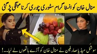Minal Khan Trolled for Stealing Kylie Jenner Instagram Story | American Star | QA Productions