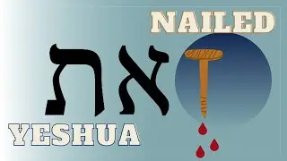 Hebrew Lesson 15