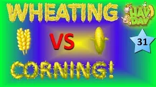HAY DAY - WHEATING VS CORNING, WHICH IS BETTER? THE ANSWER IS  REVEALED!