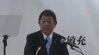 Secretary general of Japan's ruling LDP to run in party leadership election