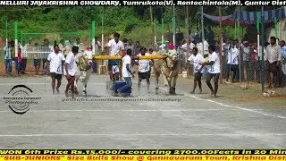 2019 GANNAVARAM 