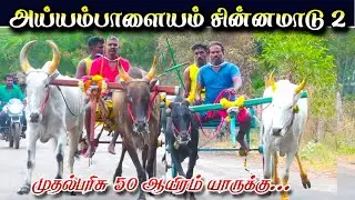 அய்யம்பாளையம் சின்னமாடு 1 11/01/2026 ayyampalayam chinnamadu 1 #krish_studio_kattumavadi #today_rekl