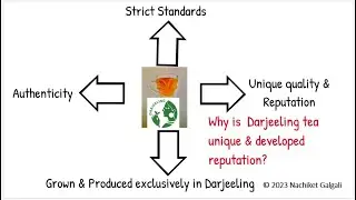 Unlocking the Secrets of Darjeeling Tea : A GI Tagged Gem