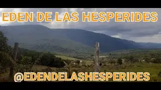 TAOTENSEGRIDAD. T&Eacute;CNICAS DE MUTAR LA ENERG&Iacute;A SEXUAL. M. ALVAKSDO. @EDENDELASHESPERIDES